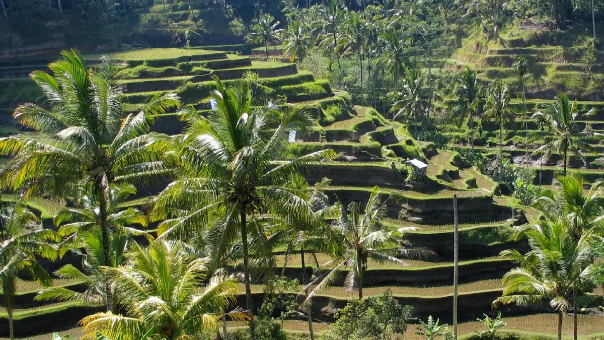 Bali